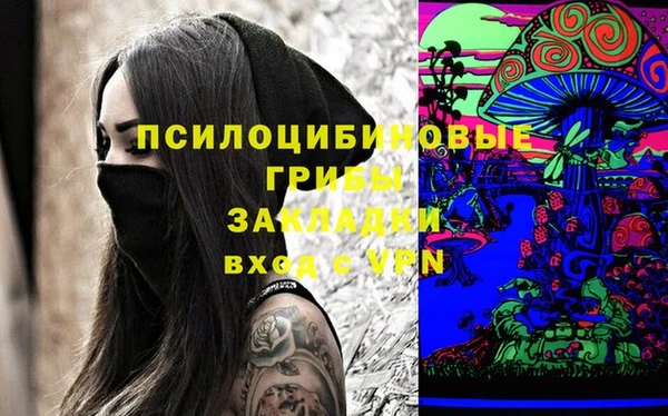 ALPHA PVP Заводоуковск