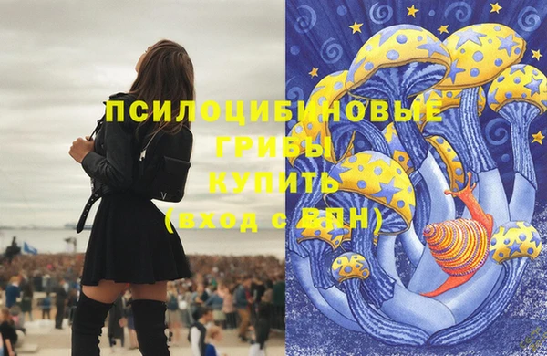 ALPHA PVP Семёнов